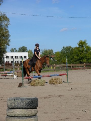 Babie Lato z Hucułami 2015